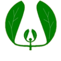 SECIVTV-logo-oscuro-q69kp91h34uu4cy03zxwmxvtvdtg08mynh2ysjhn74